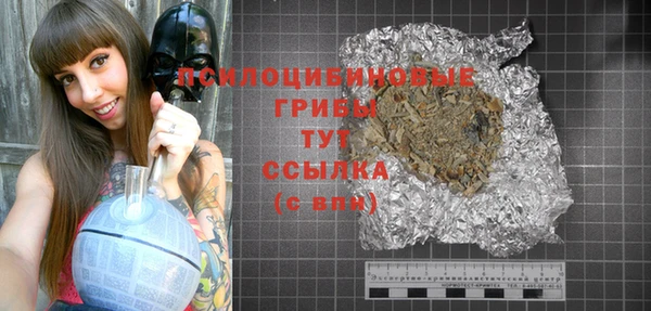 а пвп мука Гусев