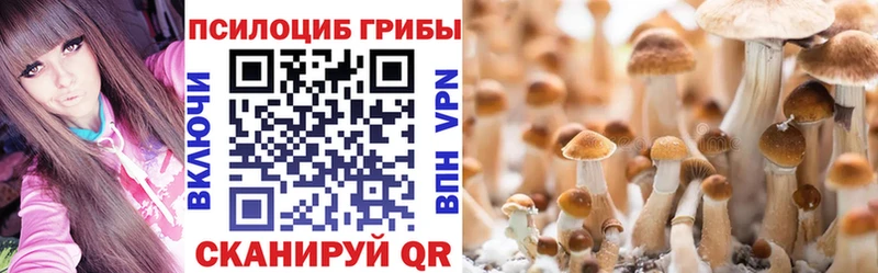 Псилоцибиновые грибы Magic Shrooms  где продают   Новая Ладога 